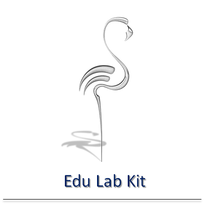 flamingo-nxt-edu-lab-kit-verona-mr-services